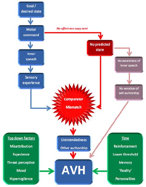 Scientific Explanations: Understanding the Physiology of Auditory Hallucinations in Dreaming