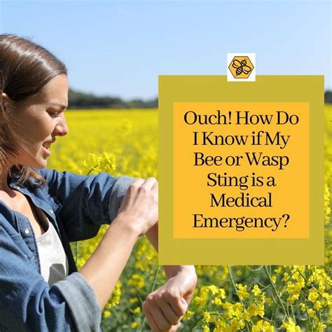 Seeking Immediate Medical Attention: Dealing with an Emergency Wasp Sting