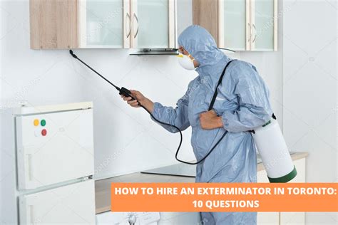 Seeking Professional Assistance: When and How to Hire an Exterminator