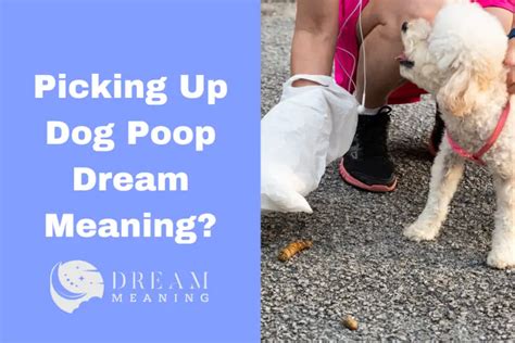 Seeking Professional Guidance for Reoccurring or Troubling Canine Feces Dreams