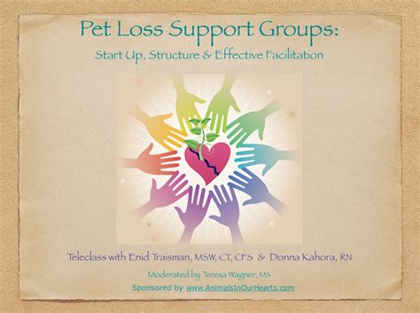 Seeking Support: Joining Pet Loss Support Groups