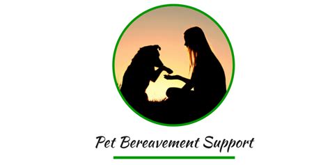 Seeking Support: The Significance of Finding a Pet Bereavement Support Group