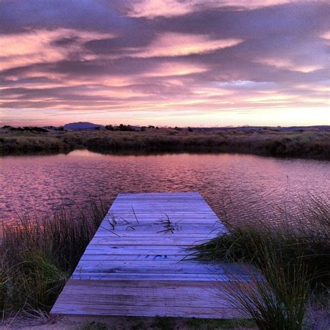 Serenity and Relaxation: Unveiling the Calming Effect of Water Dreams