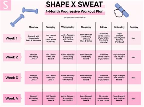 Shape and Fitness Regimen