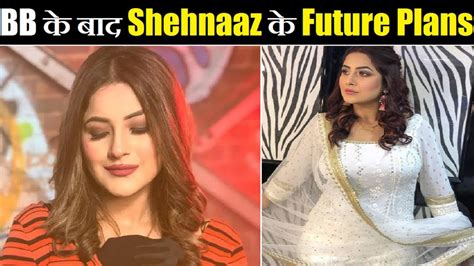 Shehnaaz Gill: Future Projects and Plans