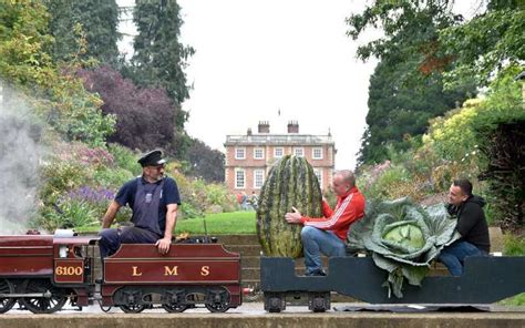 Showcasing Your Achievement: Taking Part in Giant Vegetable Competitions