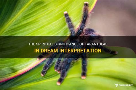 Significance and Symbolism of Tarantula Dreams