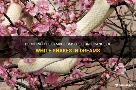 Significance of White Snake Dreams in the Context of Transformation