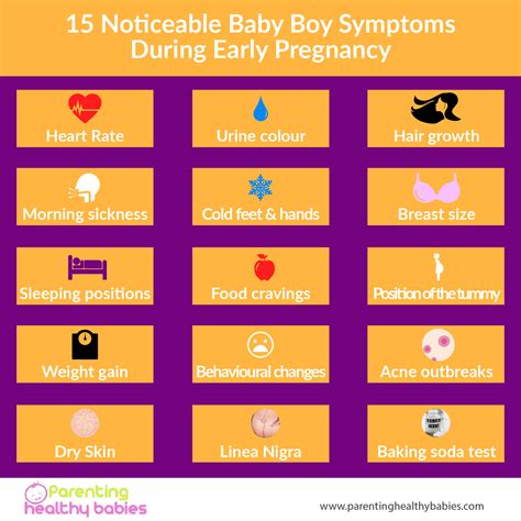 Signs and Symptoms Indicating the Arrival of a Male Fetus