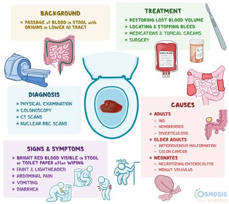 Signs and Symptoms of Hematochezia: What to Look for