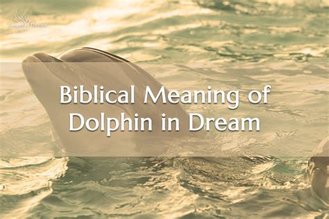 Signs from the Other Side: Insights into Dreams of a Departed Dolphin