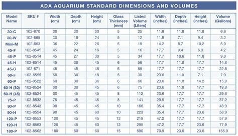 Size Does Matter: Determining the Ideal Dimensions for Your Magnificent Tank