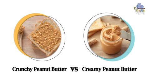 Smooth or Crunchy: Decoding the Peanut Butter Dilemma