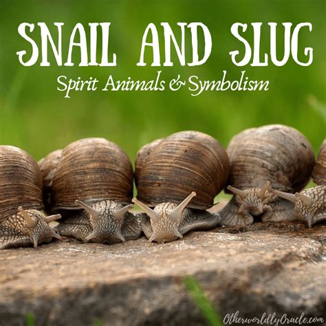 Snails as Symbols: Cultural Significance and Superstitions