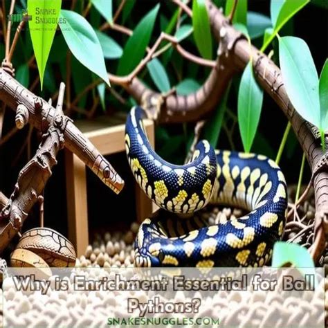 Snake Enrichment: Keeping Your Python Mentally Stimulated