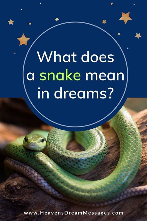 Snakes as Guides of Consciousness: Wisdom Revealed through Dream Interpretation