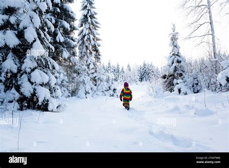 Snowy Destinations: Exploring the Enchanting Winter Paradises