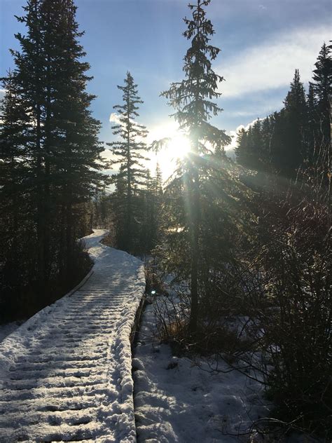 Snowy Routes: Exploring the Finest Trails for Winter Jogging