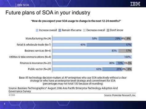 Soa Denise's Future Plans and Projects