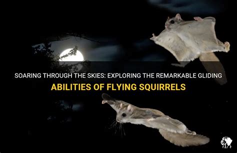 Soaring Through the Skies: Exploring the Astonishing Flight Abilities of Raptors