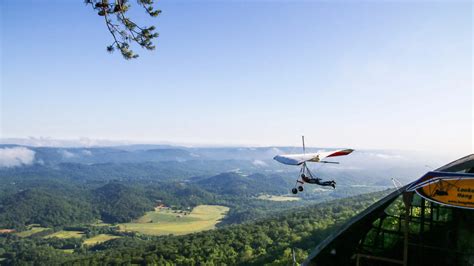 Soaring with Birds: Hang Gliding Adventures