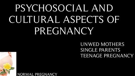 Social and Cultural Influences on Fantasizing Pregnancy Deception