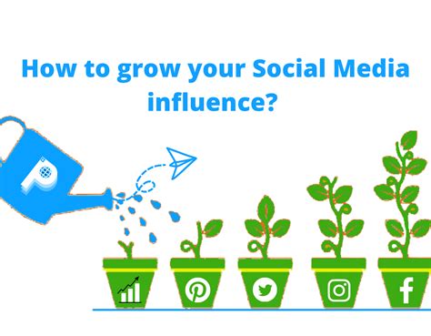 Solitairewxrld's Social Media Presence and Influence