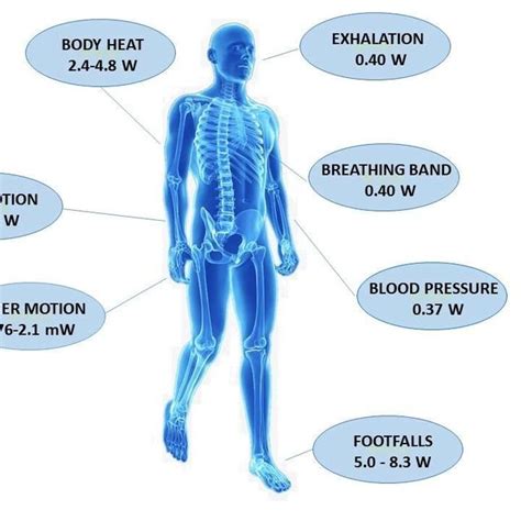 Spark Your Imagination: Innovations in Energy Conversion from the Human Body