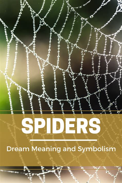 Spider Dreams: Symbolism and Interpretation