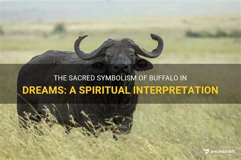 Spiritual Guidance: The Symbolism of Buffalo in Dream Interpretation