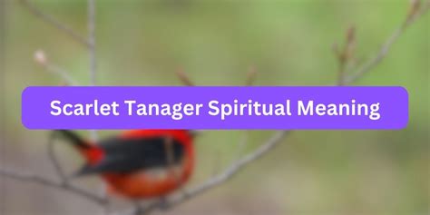 Spiritual Significance: Revealing the Mystical and Transcendent Symbolism of Scarlet Forests