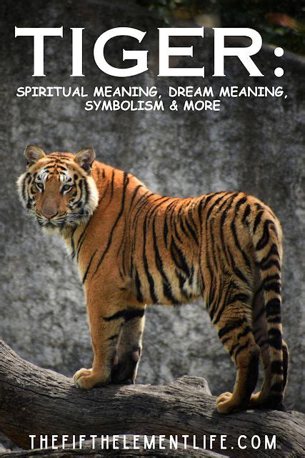 Spiritual Significance: Unveiling the Tiger's Symbolism in Eastern Philosophies and Religions