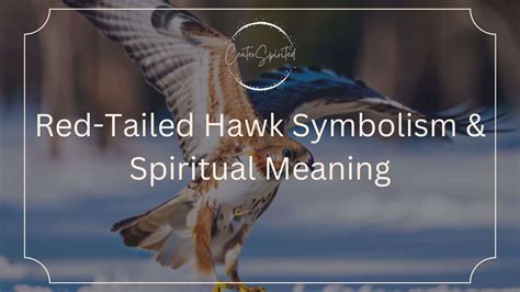 Spiritual Significance and Heightened Awareness through Hawk Dreaming