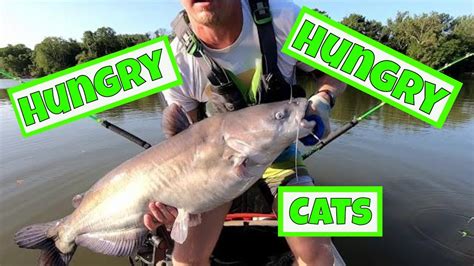 Staying Patient and Persistent: The Key to Catching a Trophy Catfish