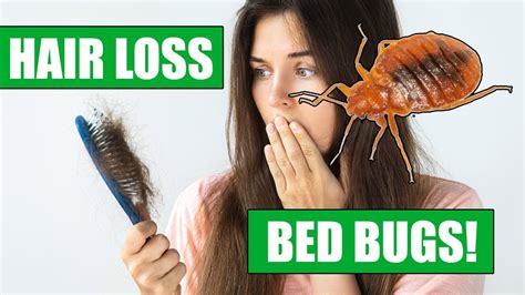 Steps to Take if You Discover Bed Bugs in Your Hair