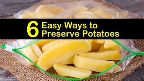 Storage and Preservation: Maintaining Freshness for Your Potatoes