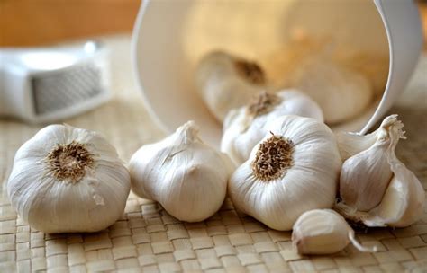 Storage and Shelf Life of Garlic