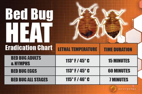 Strategies for Minimizing the Frequency of Bedbug Nightmares