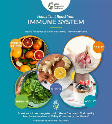 Strengthen Your Immune System and Enhance Digestive Functions