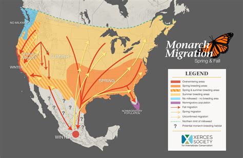 Success Path of the Monarch