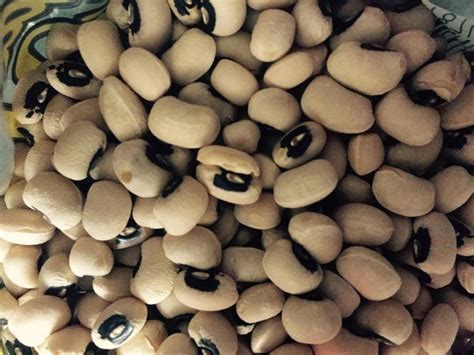 Superstitions and Folklore: Black Eyed Peas as Omens and Folk Remedies