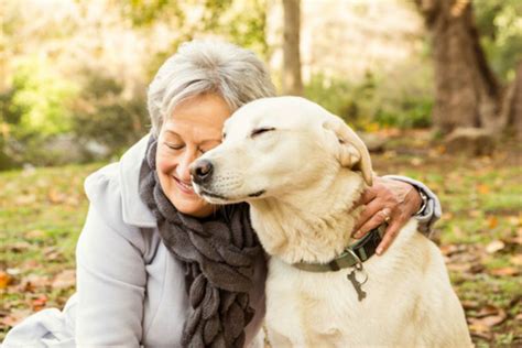 Supporting the Elderly: The Valuable Relationship with Canine Companions