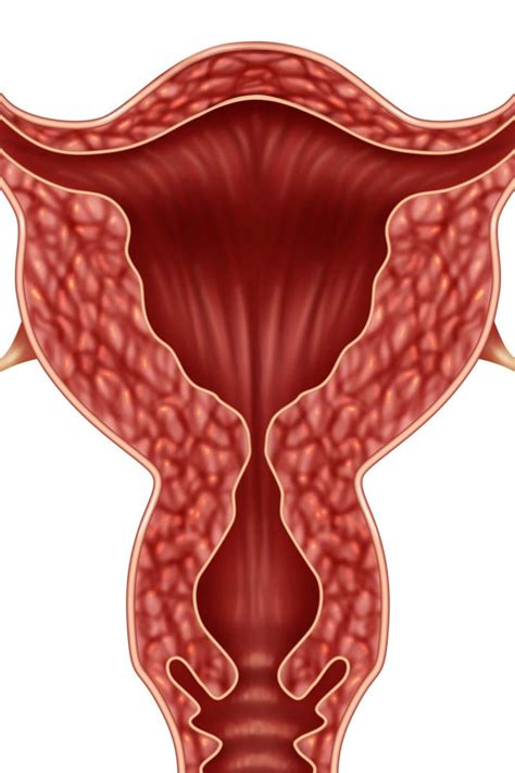 Surgical Options and Procedure for Oophorectomy: Exploring the Surgical Choices and Process