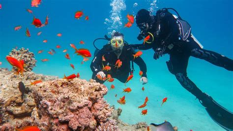 Sustainable Beach Travel: Preserving Paradise for Future Generations