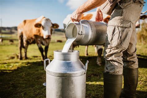 Sustainable Farming Practices for Fresh Bovine Milk