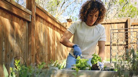 Sustainable Gardening: Cultivating Azure Flora in Your Own Backyard