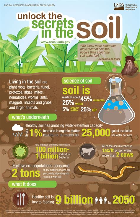 Sustainable Living: How Our Relationship with Soil Affects Environmental Consciousness