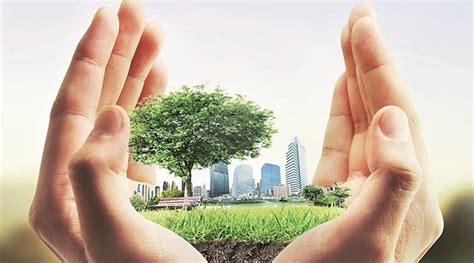 Sustainable Living: Paving the Way Towards a Greener Tomorrow