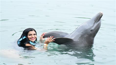 Swimming with Dolphins: Experiencing the Magic of Close Encounters