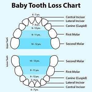 Symbolic Loss: Understanding the Loss of a Baby Tooth as a Metaphor in Dreams